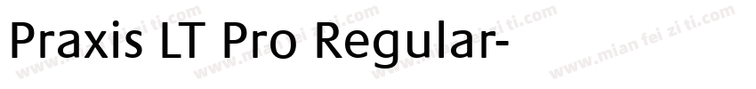 Praxis LT Pro Regular字体转换